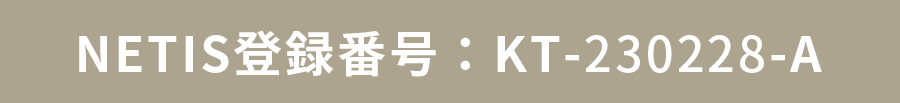 NETIS登録番号